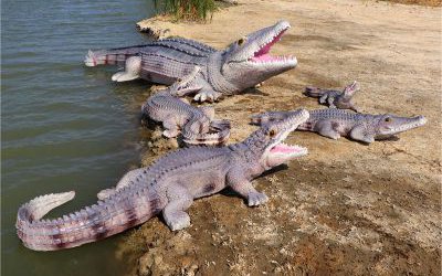湖邊擺放的玻璃鋼彩繪鱷魚雕塑