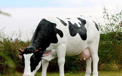 景區草坪玻璃鋼仿真奶牛雕塑