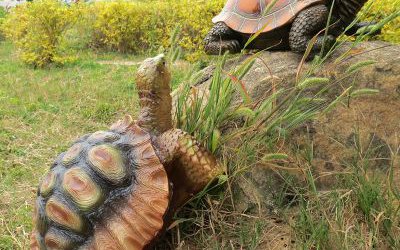 戶外草坪創意玻璃鋼仿真烏龜雕塑