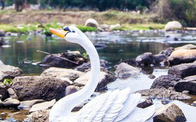 湖邊玻璃鋼仿真動物天鵝雕塑