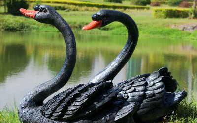 戶外池塘玻璃鋼仿真動(dòng)物景觀黑天鵝雕塑