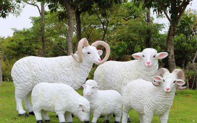 公園草坪擺放的玻璃鋼仿真綿羊雕塑