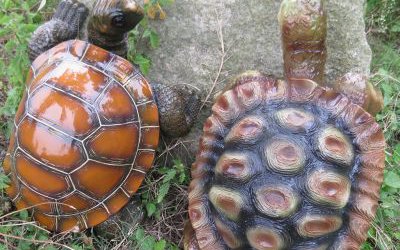 公園草坪玻璃鋼彩繪仿真動(dòng)物烏龜?shù)袼?>
	                <div>公園草坪玻璃鋼彩繪仿真動(dòng)物烏龜?shù)袼?/div>
	            </a>
	        	    </div>
	    <div   class=