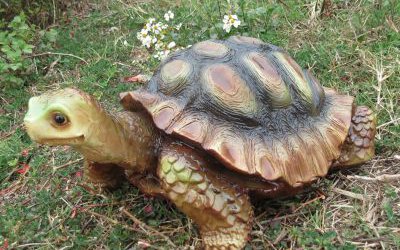 公園創意玻璃鋼仿真動物烏龜雕塑