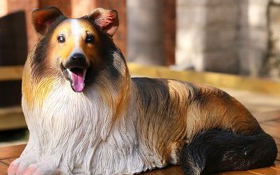 室內(nèi)創(chuàng)意玻璃鋼仿真動(dòng)物景觀狗雕塑